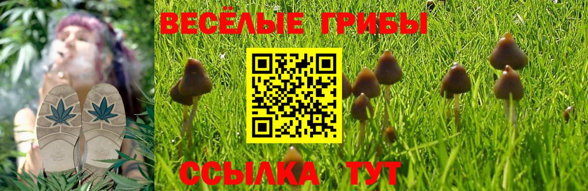 Вятские Поляны  Псилоцибиновые грибы прущие грибы  Вход с VPN 